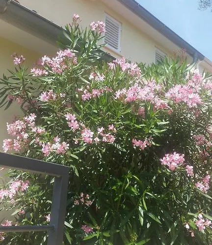 Gavza Luna Apartman