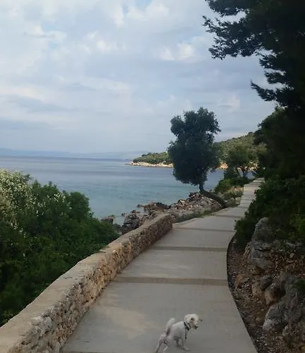 Gavza Luna Apartman *