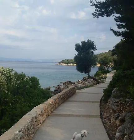 Gavza Luna Apartman *